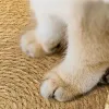 Paspaslar kedi yatak evcil yuva saf manuel rattan dokuma cattailgrass kedi çizik tahtası çıkarılabilir yıkanabilir kış sıcak ped allseasonpet