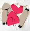 Kinder Kind Anzug Frühling Herbst Junge Mädchen Anzug Casual Sportwear Trainingsanzüge Baby Langarm Mantel Kleidung Set 28T2803852