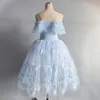 Stadiumkleding Roze Blauw Balletjurk Voor Meisjes Prestatiekleding Lange Romantische Tutu Zwanenmeer Ballerine Kinderen Feekostuum