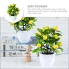 Decorative Flowers Small Artificial Plant Fake Plastic Tree Bonsai Decor Potted Bathroom Faux Indoor Window Tabletop