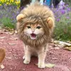 Cat Costumes Lion Mane Funny Pet Cosplay Pergs Zamień cię w mocny strój przyjazny dla skóry na Halloween