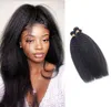 Kinky Straight Brazilian Human Hair Extensions 1030inch Peruvian Indian Virgin Hair Double Wefts Weaves 4 PCS9771543