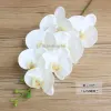 Decorative Flowers & Wreaths Set High Grade Artificial Orchids Arrangement Latex Silicon Real Touch Large Size Luxury Table Flower Home 2024304