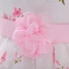Kız elbise yaz çiçek bebek doğdu vaftiz yay balo elbise çiçek partisi doğum günü nakış
