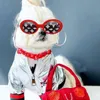 Designer Dog Goggles / Lunettes de soleil Rétro Ovale Petits Chiens Chats Eye Wear Party Favors Lunettes de Soleil Pour Animaux De Compagnie Ensemble Mignon Drôle Cosplay Poupées Costume Photo Props Rouge L01