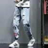 Jeans da uomo Pantaloni grafici da uomo con fori Pantaloni da cowboy maschili Strappati Harem Hip Hop Strappato Rotto Morbido Primavera Autunno Xs Y2k Vintage