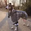 Dog Apparel Pet Clothes Autumn And Winter Plaid Jacket Wool Warmth Reflective Cold-proof Cotton-padded Supplies Fashion