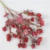 偽のランタンの花（5つの茎/ピース）31.5 "長さのシミュレーションウェディングホームショーケース装飾的な人工花のためのプラスチックグーズベリー2024304
