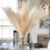 Decorative Flowers Wreaths 5Pcs Artificial Pampas Grass Bouquet Year Holiday Wedding Party Home Decoration Plant Simulation Dried Flower Reed 2024304