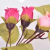 Stile rurale piccola rosa edera artificiale foglie fiore vite decorazioni per la casa festa decorazione di nozze Mariage piante finte10 PC / lotto 2024304