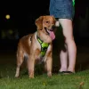 Geschirre LED-Hundegeschirr, langlebiges, leuchtendes Hundegeschirr, reflektierendes Geschirr, leicht verstellbarer LED-Hundemantel für kleine, mittelgroße und große Hunde