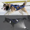 Sele hund släde sele refletive husdjur vikt dragande släde sele väst för medelstora stora hundar husky canicross skijoring scootering