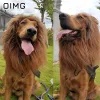 Caps OIMG New Pet Hat Accessories Dog Cat Funny Sell Cute Wig Lion Head Cover Hat Golden Retriever Labrador Border Terrier