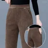 Damenhosen Harem Regular Fit Frauen Coole Jogginghose Verdickung Einfarbig Bürodame Lässige elastische Taille Lange Hose T29