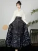 Hanfu Originele Chinese Paardengezicht Rok Ming-dynastie Vrouw Traditioneel Geborduurd Herfst 240220