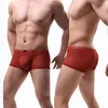 Underpants Durable Men Shorts Briefs Lace Underwear Breathable Men's Lightweight Low-rise Sexy Transparent