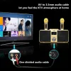 Subwoofer Karaoke Wireless Bluetooth Sound Column 3D Stereo Surround Subwoofer med Dual Microphones Music System Center for TV/Computer