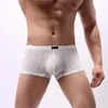 Cuecas homens rendas roupa interior elástico shorts briefs respirável leve baixo-rise sexy transparente