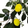 Dekorativa blommor 6.5ft Artificial Garland Faux Eucalyptus Vines med citroner vårfruktdekor