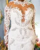 Arabic Luxurious Aso Ebi Mermaid Wedding Dress Lace Appliqued Beaded Bridal Gowns Long Sleeves Sheer Jewel Neck Sweep Train Vestido De Novia Custom Made