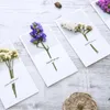 10 PiecesSet Dried Flowers Envelope Greeting Cards Wedding Invitations Handwritten Postcards Gift Thank You 240301