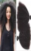 Mongol afro kinky encaracolado cabelo virgem kinky encaracolado tece extensão de cabelo humano cor natural dupla trama tingível 1712817