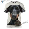 T-shirts hommes Teckel T-shirts Teckel T-shirts pour hommes Dackel Dog 3D T-shirts Imprimer Tops surdimensionnés Femmes Vêtements mignons Homme à manches courtes L240304