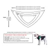 Accessoires chien Bandana pour Schnauzer écharpe carlin collier mignon Chihuahua mode chien accessoires LC0222