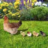 Décorations de jardin, bouchon de sol pour poussin de poule, accessoire d'ornement de cour, signe de cour de poulet, piquet de pelouse décoratif, emblèmes