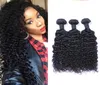 Indian Jerry Curl 100 obearbetat mänskligt jungfruhår väver Remy Human Hair Extensions Human Hair Weaves Dyable 3 Bundles6552954