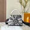 Luis S torba SE Designer Eviution Bag Fashion Crossbody Malowanie skórzanej torby różowe kapituły BB Classic Presbyterian Tote Clutch Tourse Hand E6