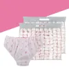 Shorts 50st Man/Women Disposable Nonwoven underkläder för Beauty Spa Sauas gratis presentförstora undervattna