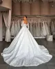 Elegant Silky Lace Of V-Neck Full Sleeve A Line Wedding Dress Embroidery Lace Brown Skin Bridal Gowns Plus Size