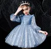 OC 61M276 Girl039s Dresses Baby Kids Clothing Dancewear Girl Cosplay Costumes Handwork Luxurious custom6622132