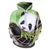 Erkek Hoodies Panda 3d Baskı Büyük Boyu Erkek Hayvan Günlük Uzun Kollu Gevşek Sweatshirtler Kadın Harajuku Street Giyim Külotu