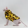 Vêtements de chat sans poils automne et hiver coton mode chat vêtements pour chats Sphynx Devon Rex CatsCornish 240304