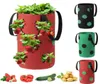 Galloni Borsa per piantare fragole Contenitore multibocca Coltivare Borsa per fioriera Radice Pianta in vaso Jardim Forniture da giardino Fioriere 1804390