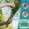 Vasen Spirale Ikebana Stielhalter Klarer Blumenständer DIY Blumenkunst Zubehör Vase Ring für Party Hochzeit