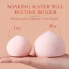 30pc Soft Darling Peach Blender Steamed Bread Beauty Makeup Egg Powder Puff Make Up Sponge Beauty Tools Gifts No 240301