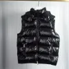 Gilet Gilet impermeabile Donna Giacca Cappotto Donna Puffer Vest Primavera Nuovo 2024 Coreano Autunno Outwear Puffer Vest Giacca senza maniche femminile