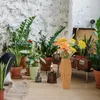 Vaser Hydroponic Vase Imitation Rattan Woven Flower Arrangement Simple Basket Plastic Office