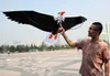 رياضة المرح في الهواء الطلق 2M 3D Eagle Kite مع مقبض وخط 30 متر تحكم سهل جيد الطيران 240223