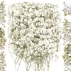 Fleurs décoratives 100 pièces de gypsophile séchées en vrac pour presser des matériaux artisanaux de bricolage, marque-pages de mariage