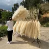 Wholesale 12Pcs Fluffy Large Pampas Grass Home Decor Natural Dried Flower Decorative Wedding Centerpiece Boho 240223