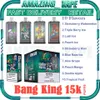 Vendita al dettaglio Bang King 15000 Puff monouso E Cigartte 25 ml Pod preriempito Mesh Coil 650mAh Batteria ricaricabile 0% 2% 3% 5% 10 Sapori Vape Kit