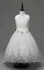 Girls Dresses Children Ball Gown Princess Wedding Party Girl Dress for Girls Clothes with Pearl Butterfly34120575263054