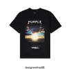 Best Quality Purple Brand Mens Casual Cotton Short Sleeve Loose Round Neck Illustration Sunset Black T-shirt