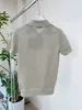 Designer Nanyou Gaohuo Miu Home 24 Early Spring New Gold and Silver Silk T-Shirt Design Sense Fashion Personality Top Polo Shirt L45B