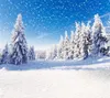 Blauwe lucht vallende sneeuwvlok achtergrond voor Pography dikke sneeuw bedekte pijnbomen weg buiten schilderachtige wintervakantie Po Studio 3334850