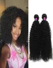 4Pc Malaysian Curly Human Hair Extensions 100gpcs Natural Black Malaysian Curly Weave Virigin Hair Malaysian Kinky Curly Hair Ext4239668